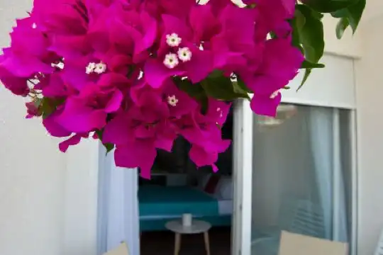 Bougainville Bay Resort - Villa 11 - 90