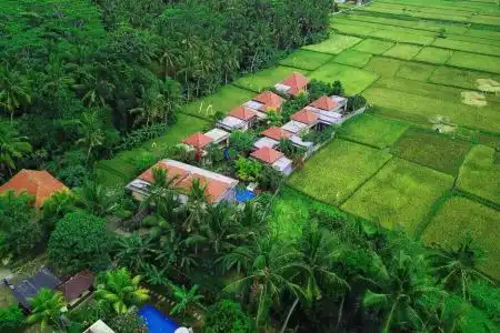 Asri Sari - 0
