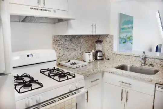 Coral Reef at Key Biscayne - 74