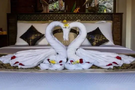 Menzel Ubud - 244