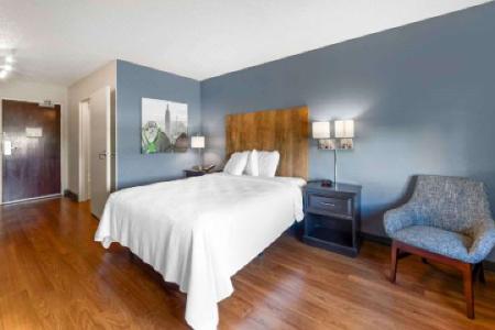 Extended Stay America Suites - Fort Lauderdale - Convention Center - Cruise Port - 39