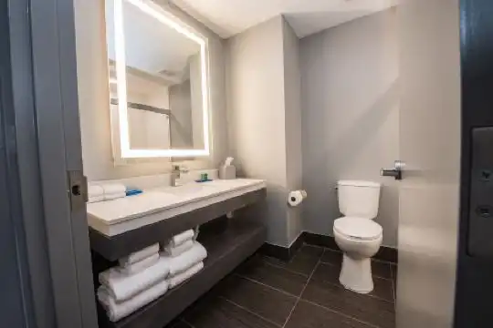 Holiday Inn Express & Suites Houston - Hobby Airport Area, An Ihg - 18