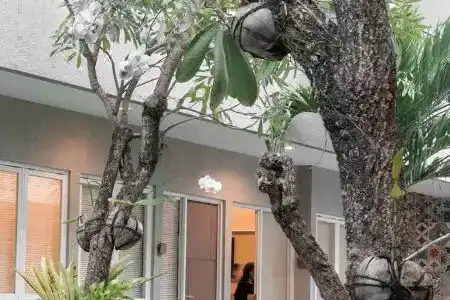 Seruni Guest House - 8