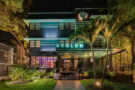 Hollander - Downtown St. Petersburg - 1