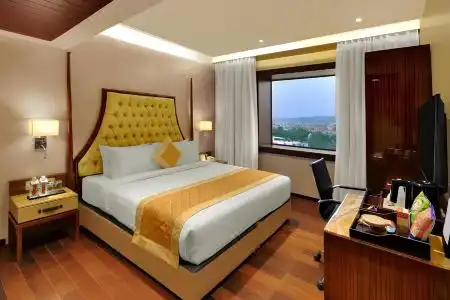 The Fern Residency Jaipur - 2