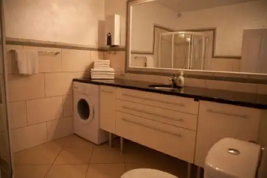 Vila Tamburic - 83