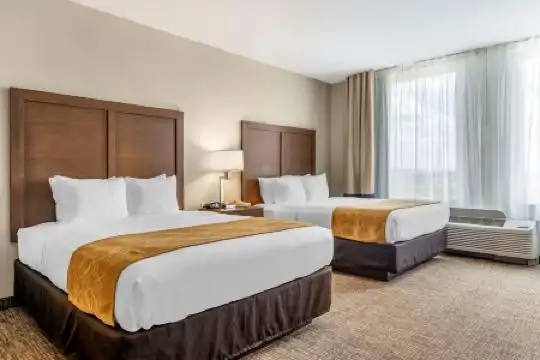Comfort Suites Maingate East - 78