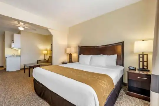 Comfort Suites Maingate East - 69