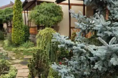 Grig House Eco Resort - 14
