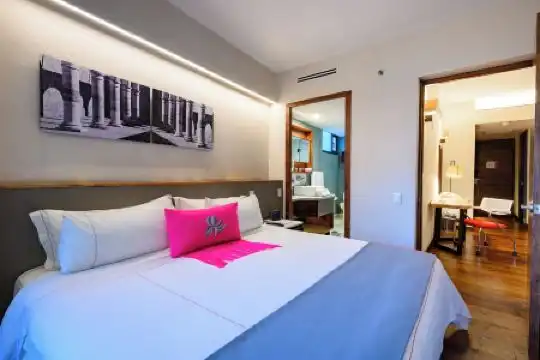Las Suites Campos Eliseos - 43