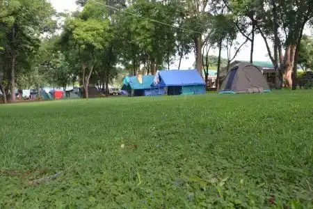 Twiga and Campsite