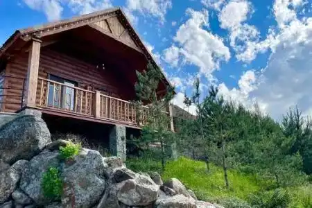 Grig House Eco Resort - 25