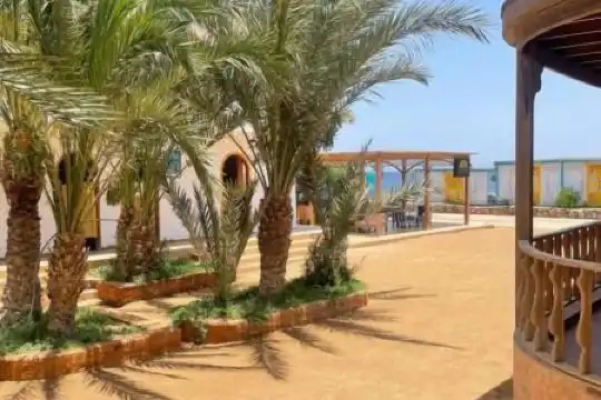 My Hostel in Dahab - Dive center - 19