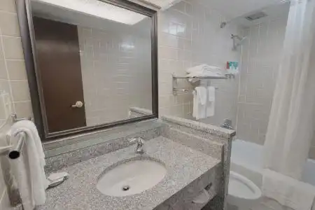 Drury Inn & Suites Stadium- - 17