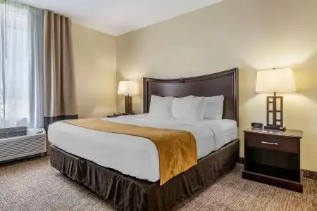 Comfort Suites Maingate East - 73