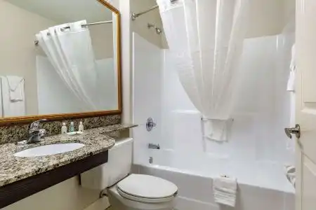Quality Inn & Suites I-20 - 20