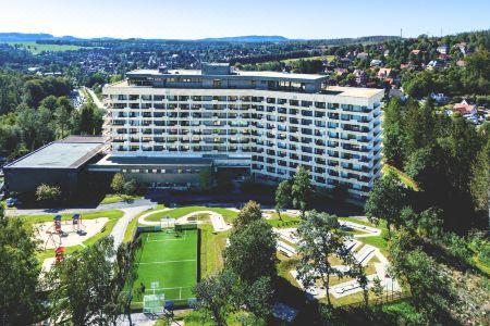 Ahorn Harz Braunlage - 1