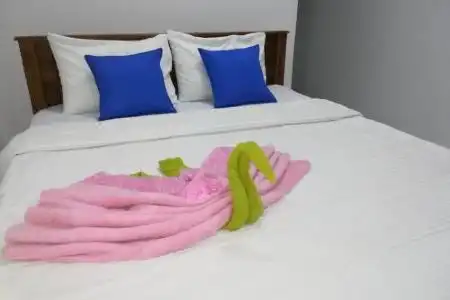 Moon Light Guest - 11