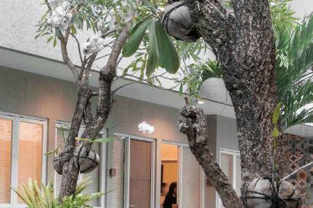 Seruni Guest House - 10