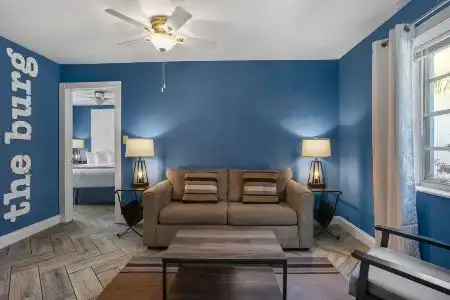 Hollander - Downtown St. Petersburg - 18