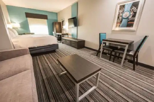 Holiday Inn Express & Suites Houston - Hobby Airport Area, An Ihg - 48