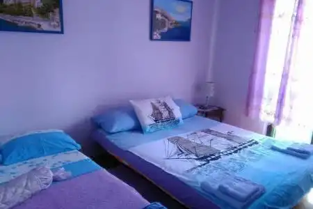 Guest House Aurora - 22