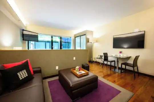 Las Suites Campos Eliseos - 16
