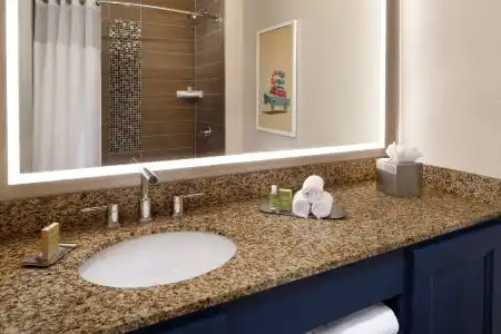 DoubleTree Suites by Hilton Orlando at Disney Springs - 11