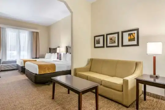 Comfort Suites Maingate East - 77