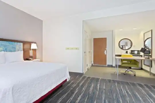 Hampton Inn & Suites Orlando International Drive North - 8