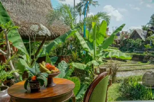 Menzel Ubud - 275