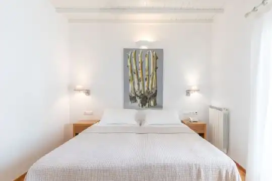 Elena Mykonos - 34
