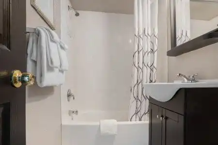 Hollander - Downtown St. Petersburg - 15