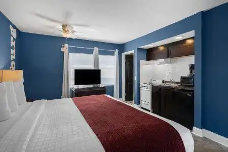 Hollander - Downtown St. Petersburg - 21