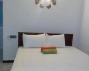 Moon Light Guest - 12