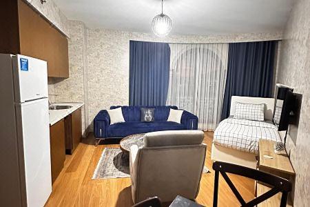 Sabiha Gokcen İStanbul Houses - 21