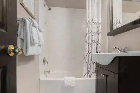 Hollander - Downtown St. Petersburg - 24