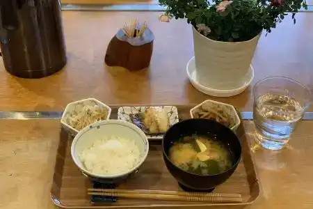 屋久島 民宿すぎのこ - 12