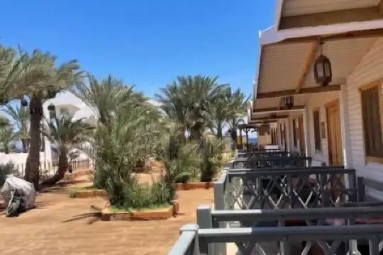 My Hostel in Dahab - Dive center - 16