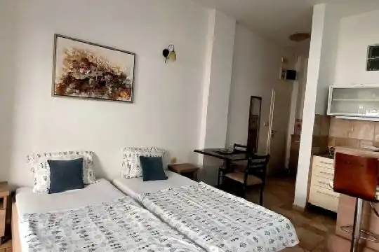 Vila Tamburic - 28