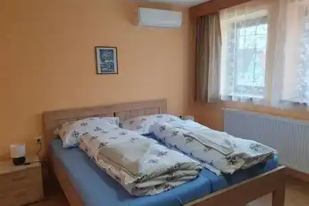 Pension Zelený strom - 0