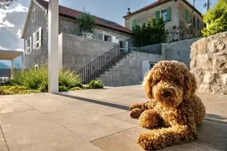 Villa Ruza, Donja Lastva - 37
