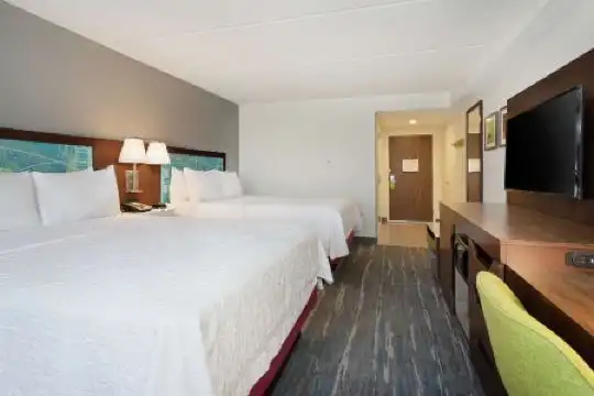 Hampton Inn & Suites Orlando International Drive North - 21