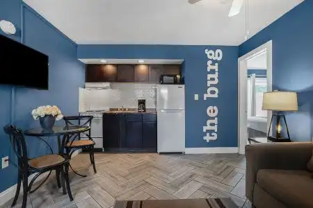 Hollander - Downtown St. Petersburg - 16