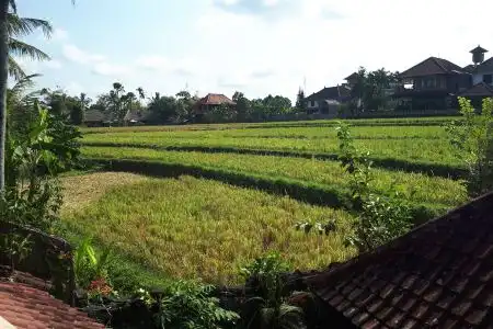 Cendana Resort & Spa by Mahaputra - 2