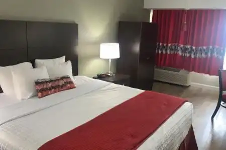 Best Western Plus Sandcastle Beachfront - 12