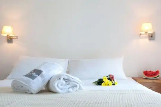 Elena Mykonos - 39
