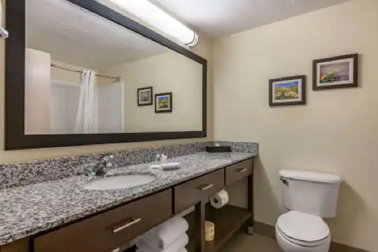 Comfort Suites Maingate East - 70