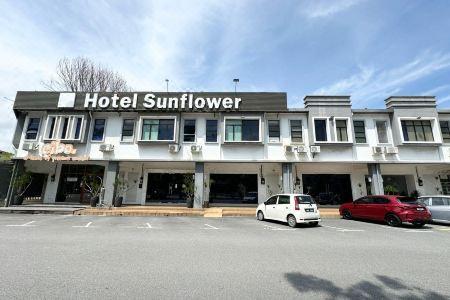 Sunflower - 7