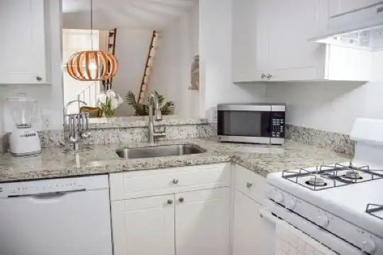 Coral Reef at Key Biscayne - 71